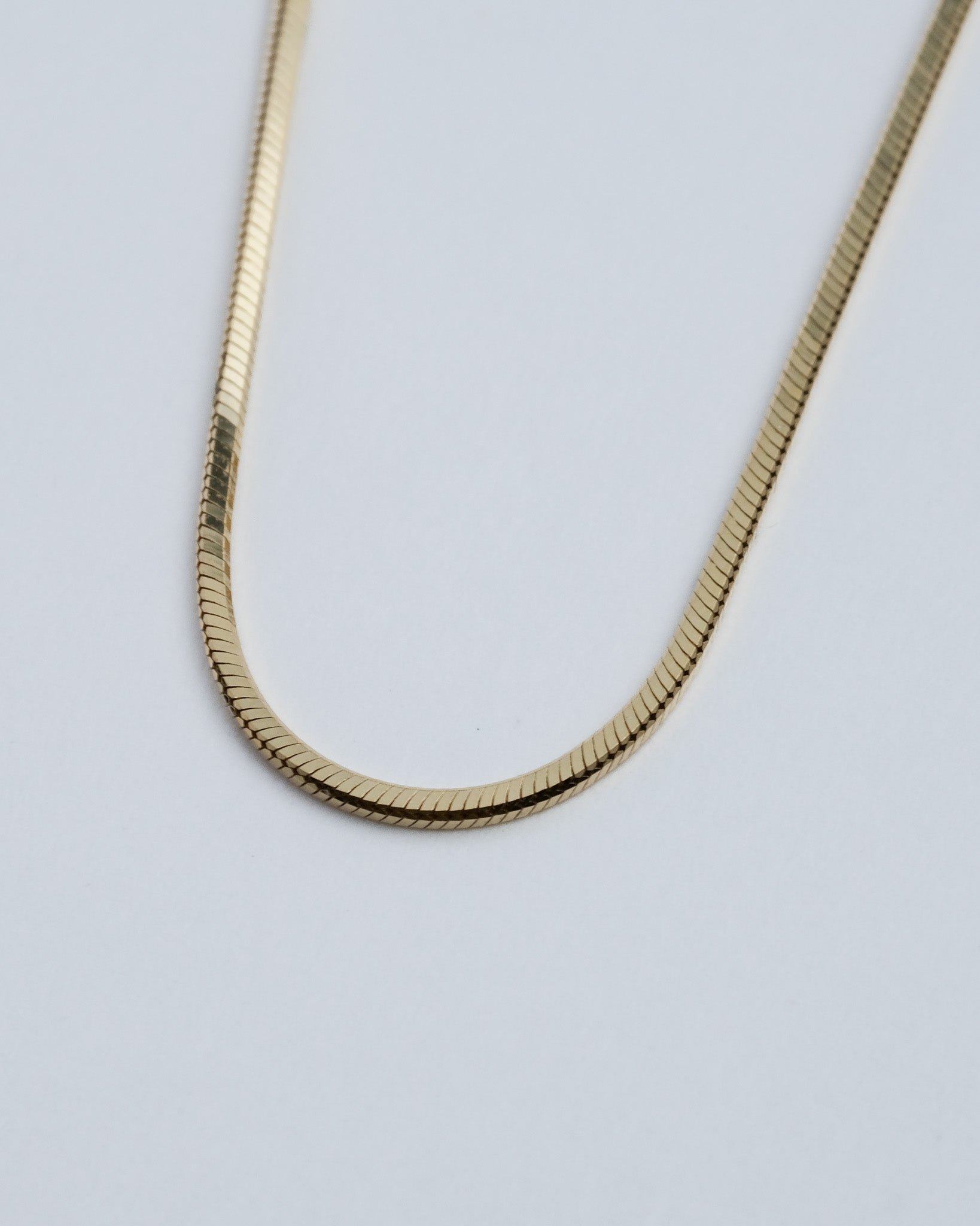 Snake Chain Necklace