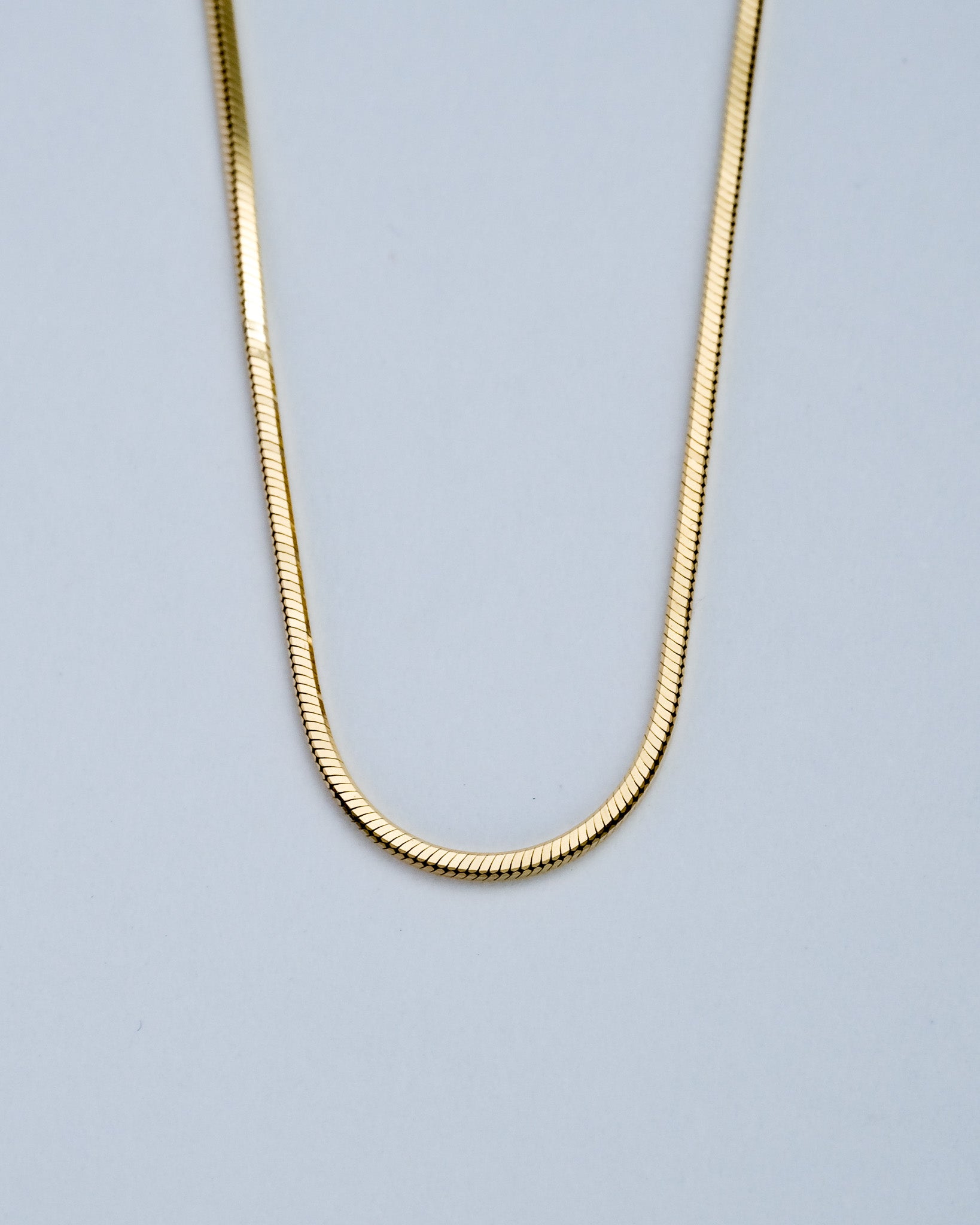 Snake Chain Necklace